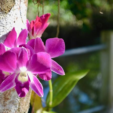 Nguyen Shack - Mekong เกิ่นเทอ ภายนอก รูปภาพ